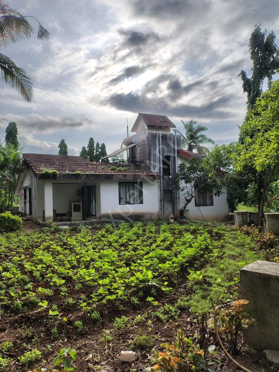 Property Photos 8