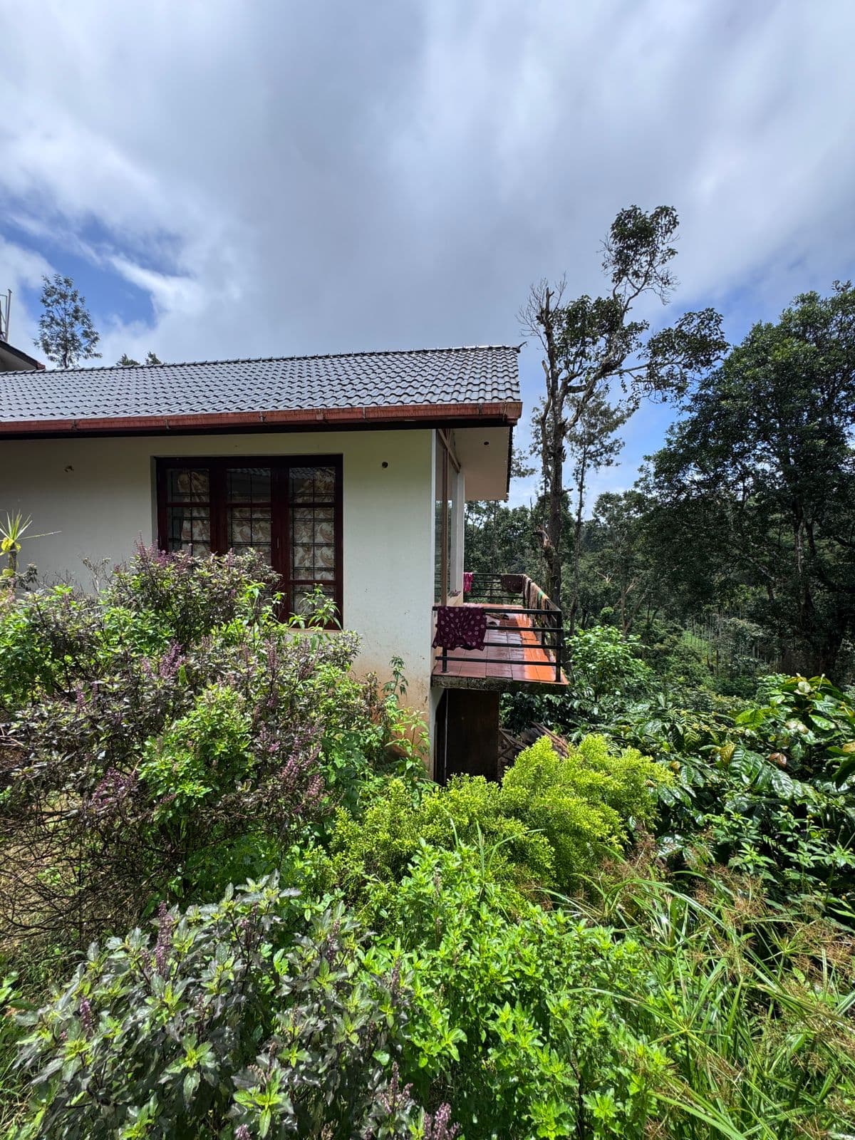 Property Photos 2