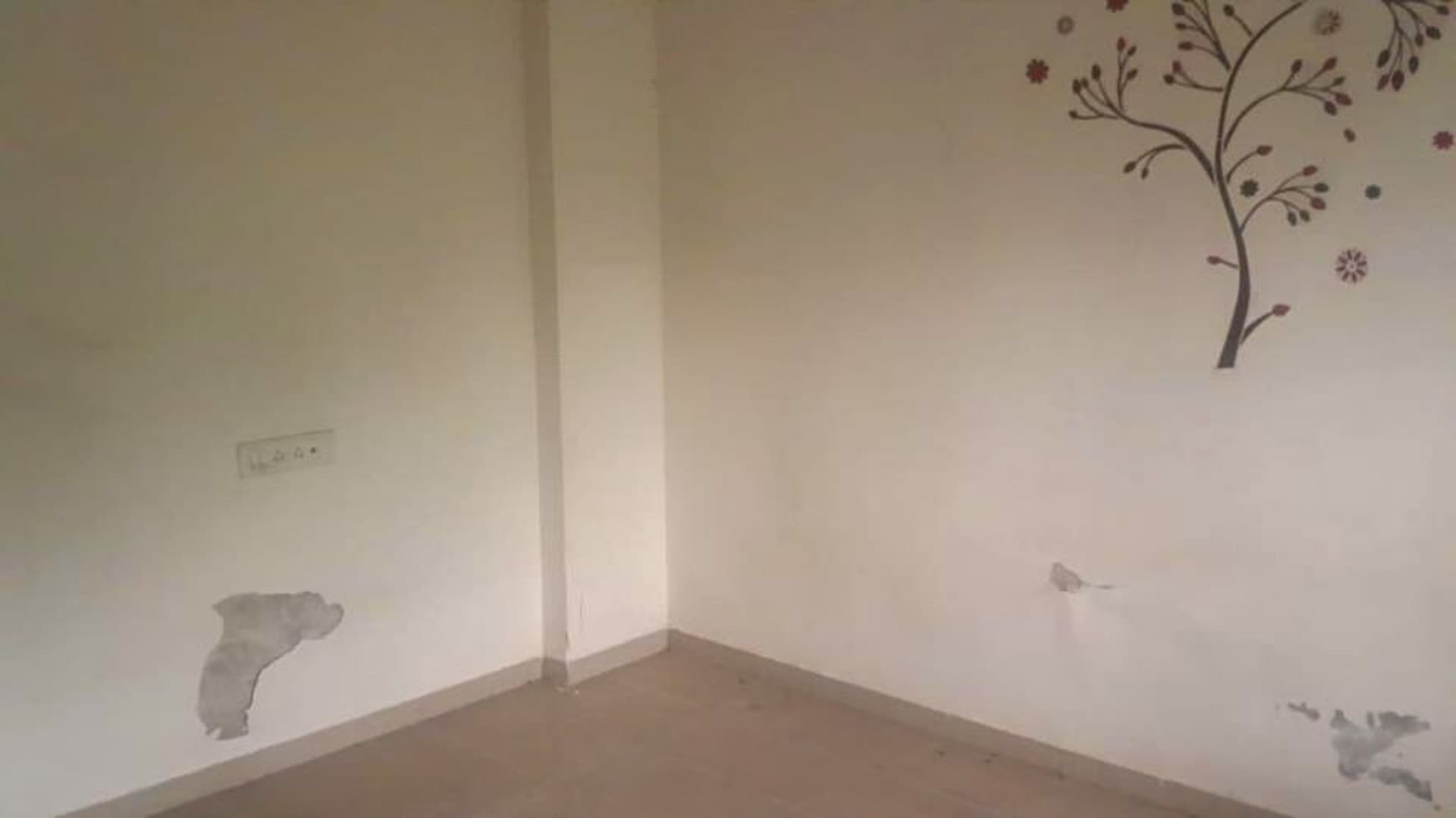 Property Photos 46