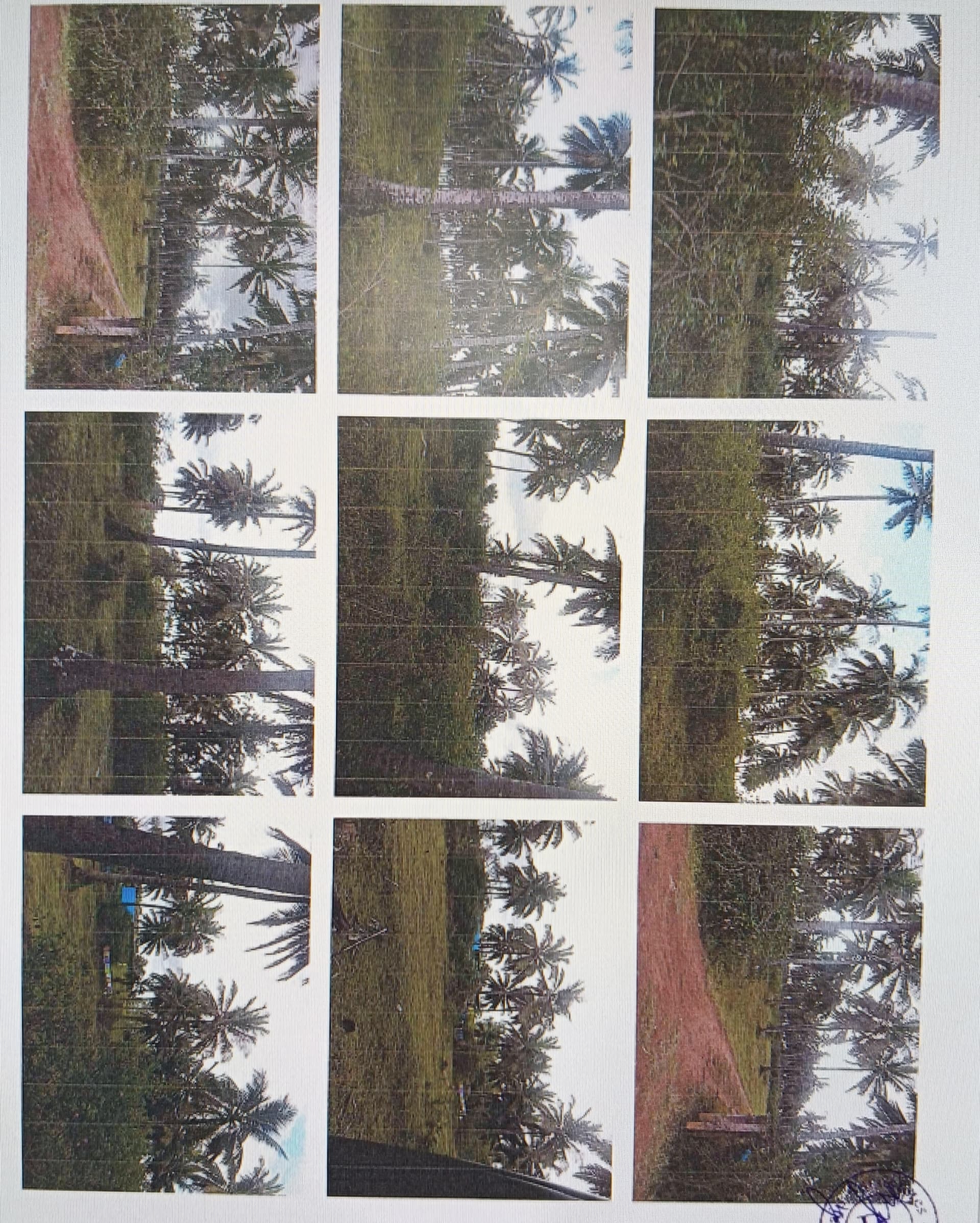 Property Photos 2