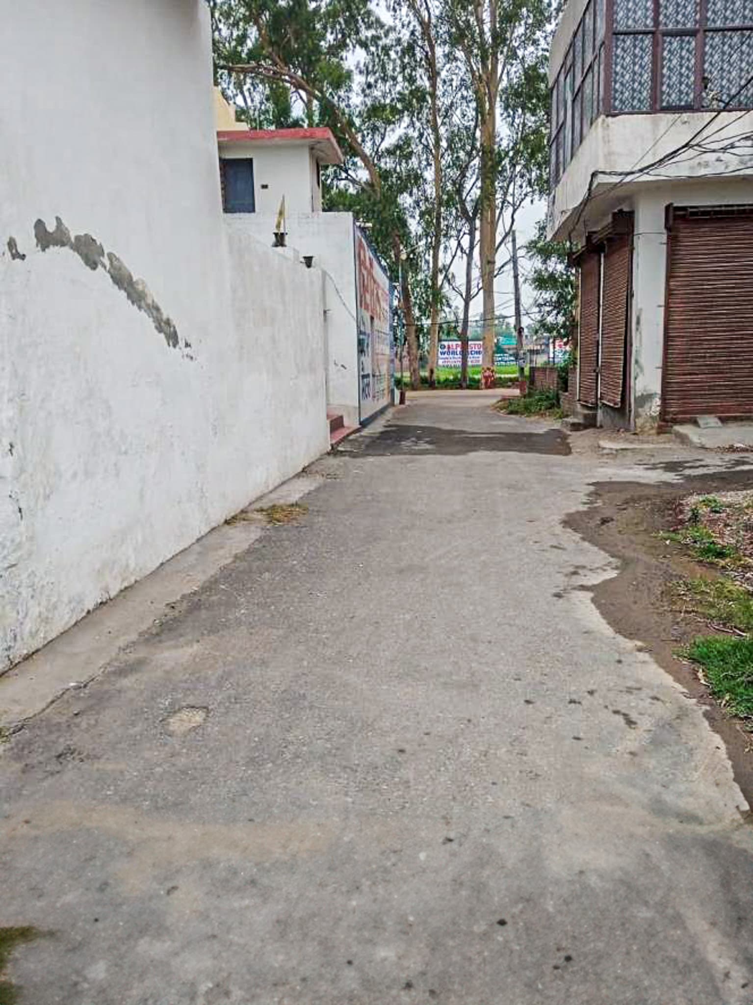 Property Photos 6