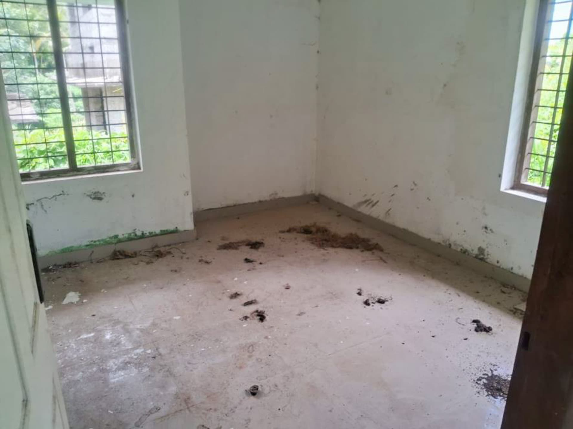 Property Photos 6