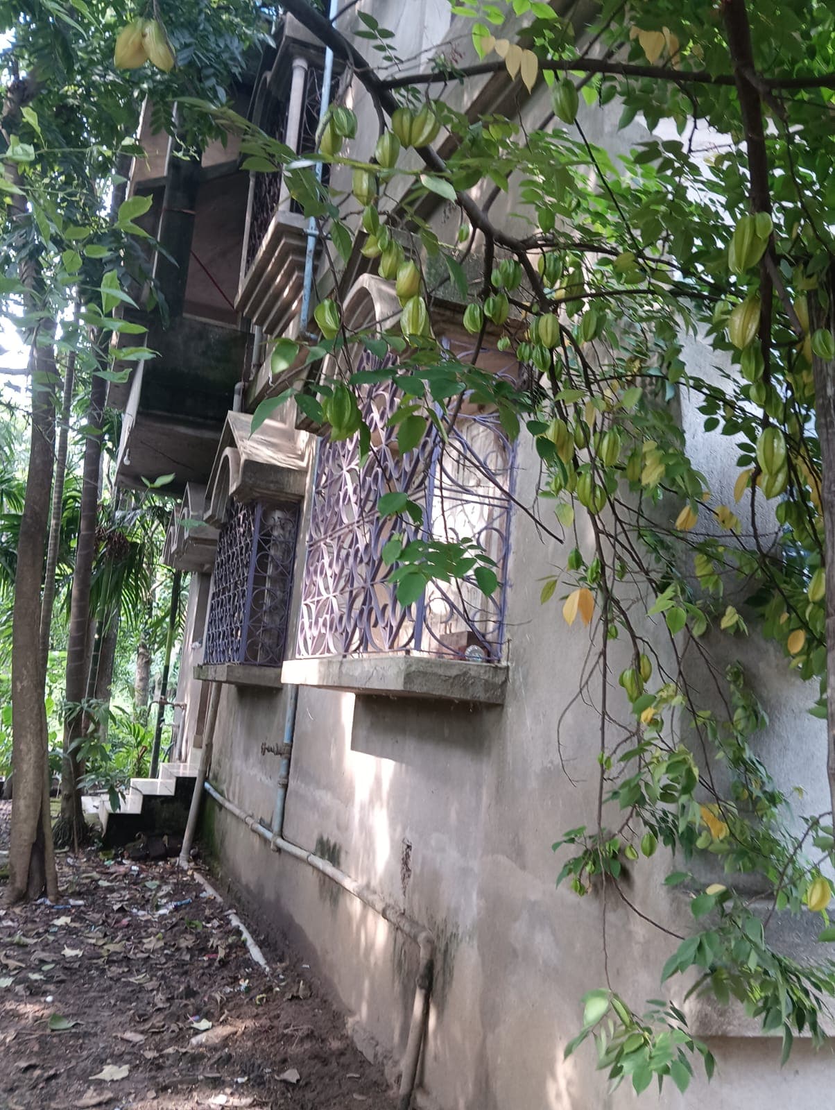 Property Photos 6