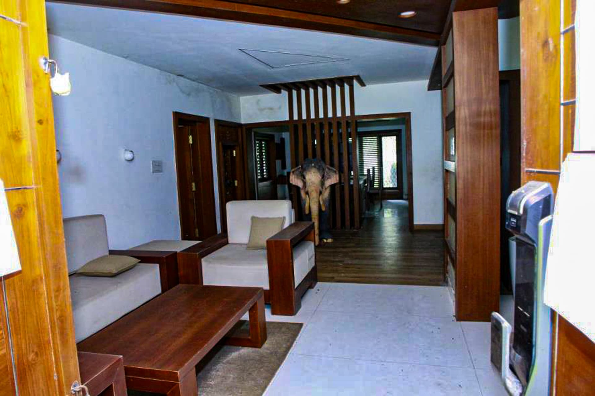 Property Photos 6