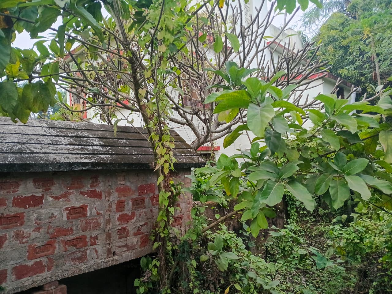 Property Photos 7
