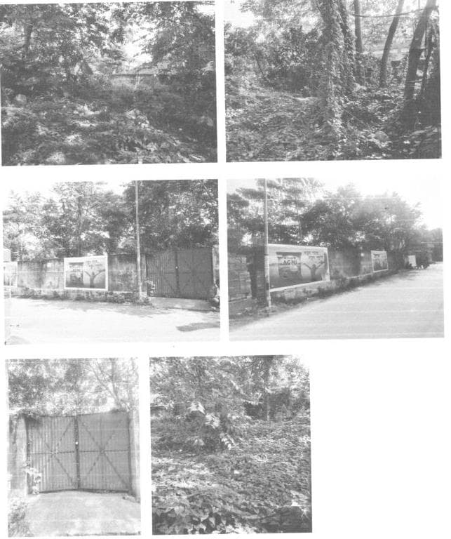 Property Photos 2