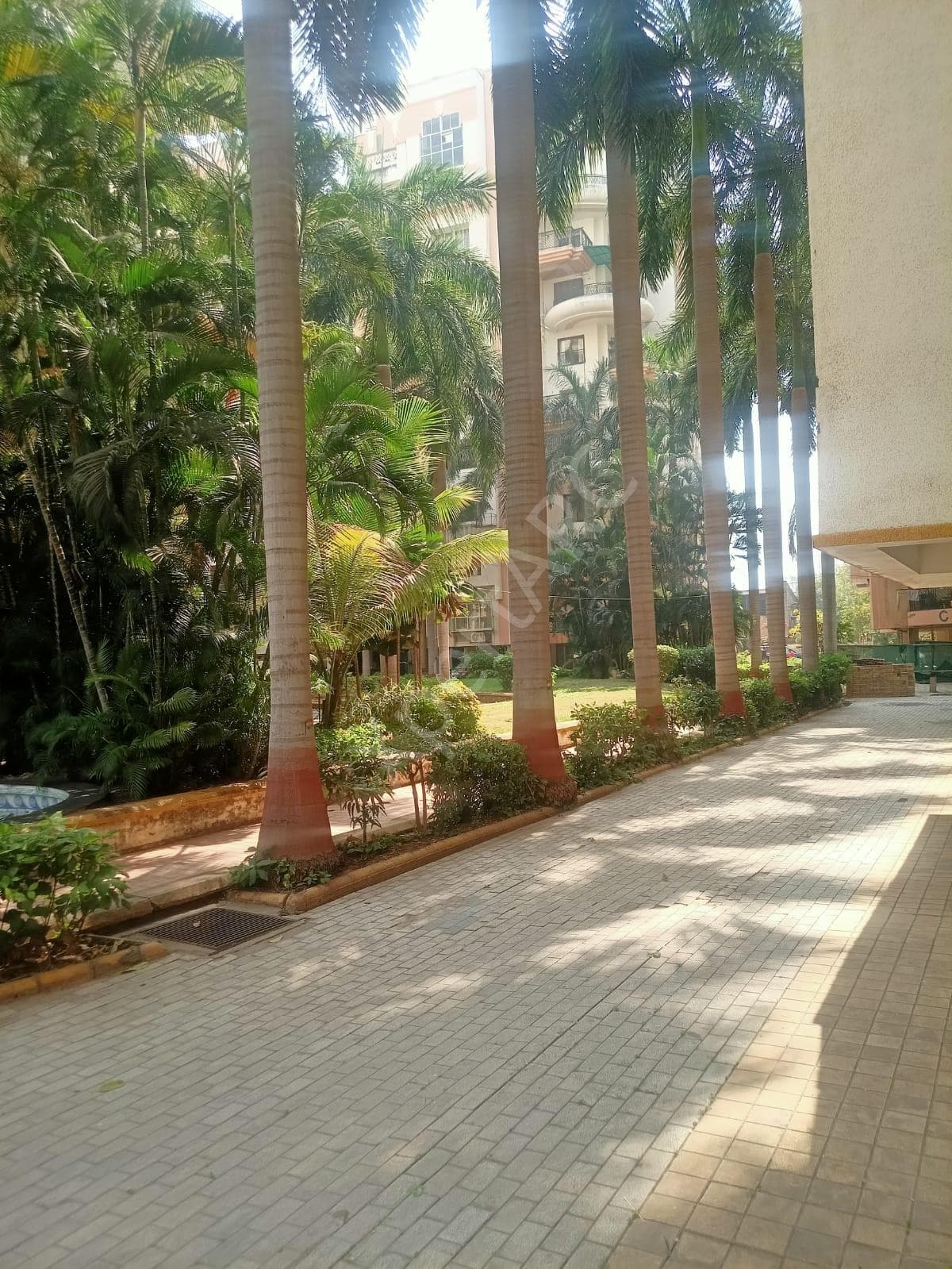 Property Photos 12