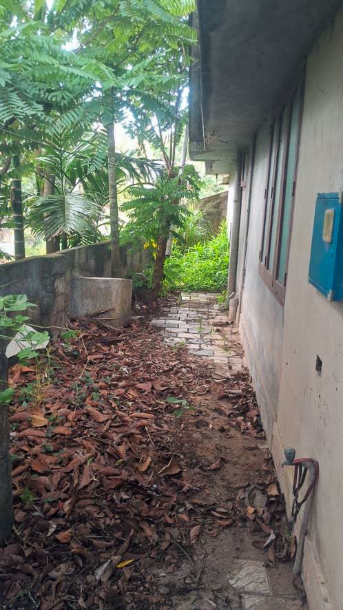 Property Photos 25