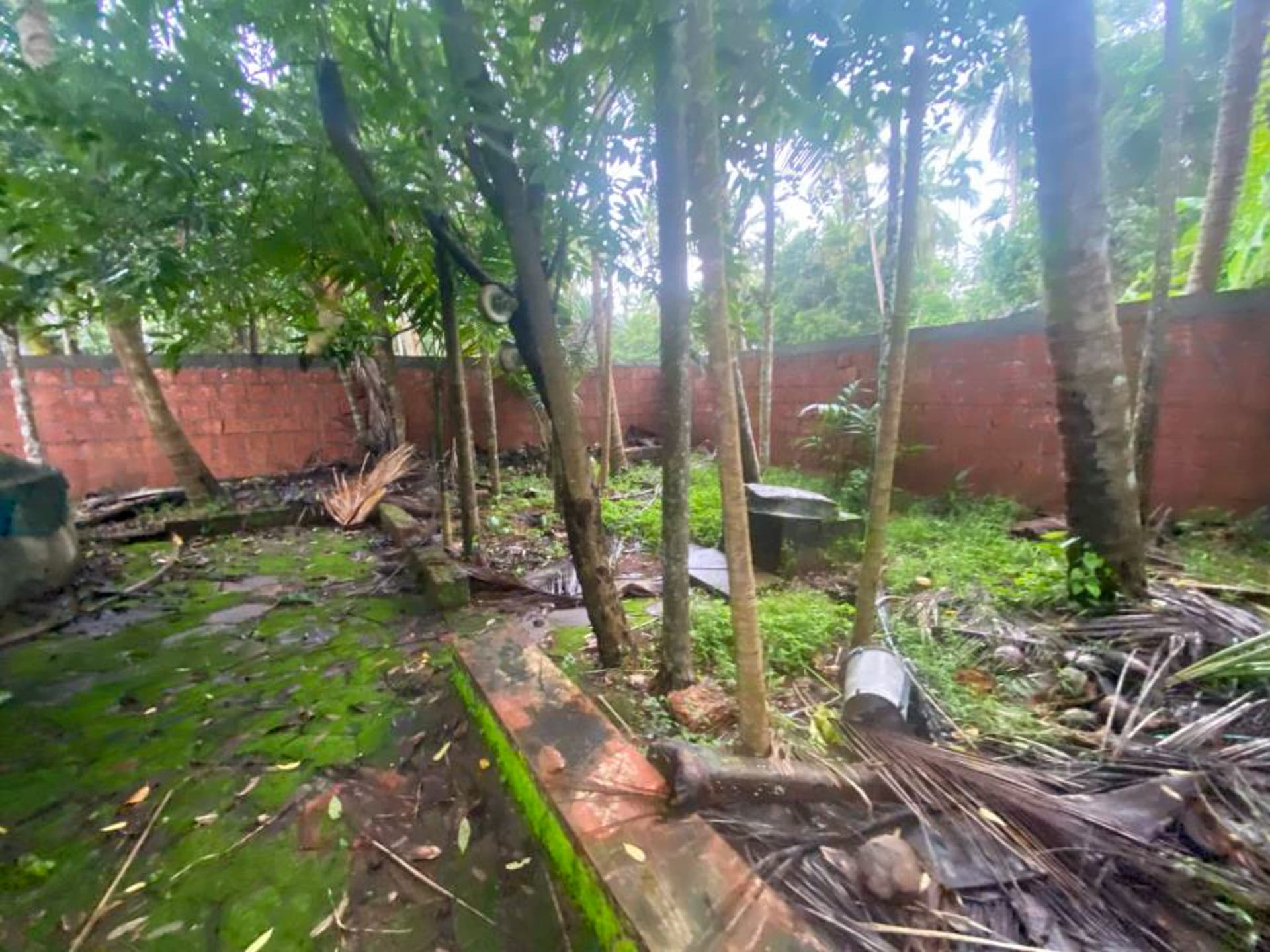 Property Photos 3