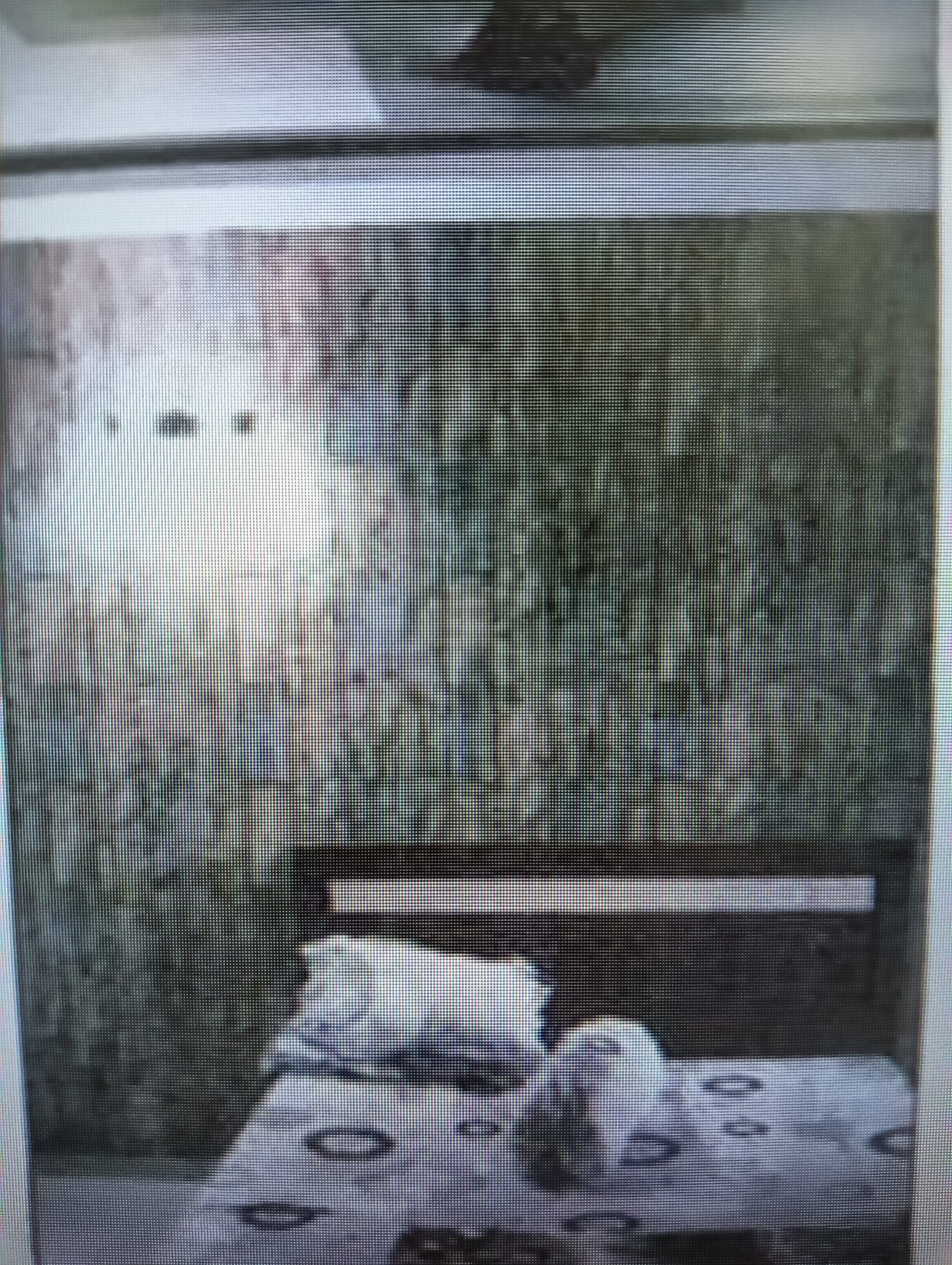 Property Photos 4