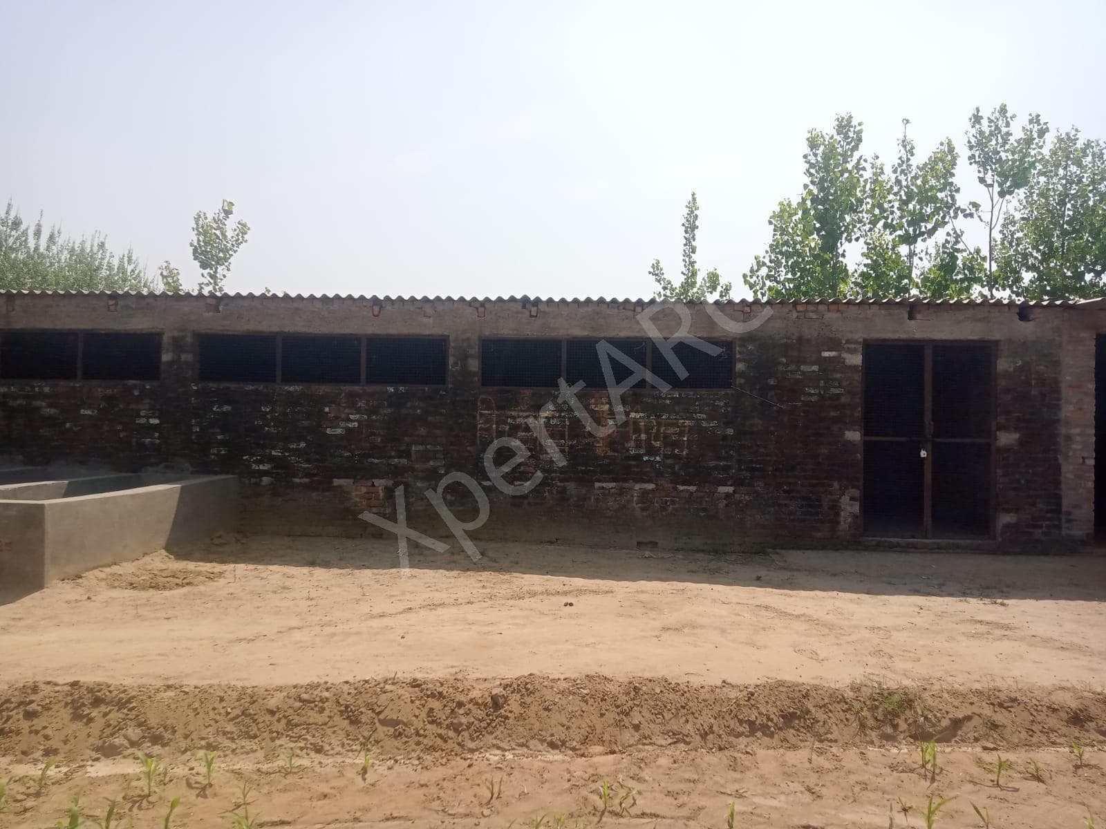 Property Photos 8