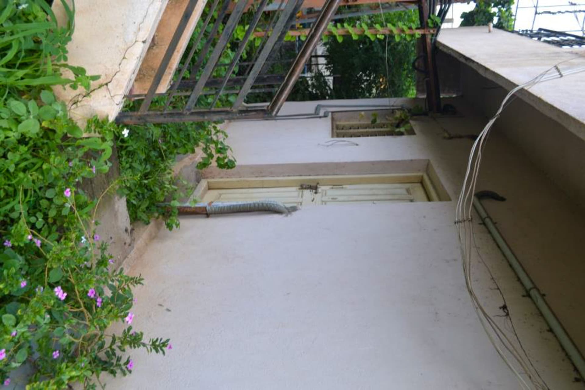 Property Photos 6