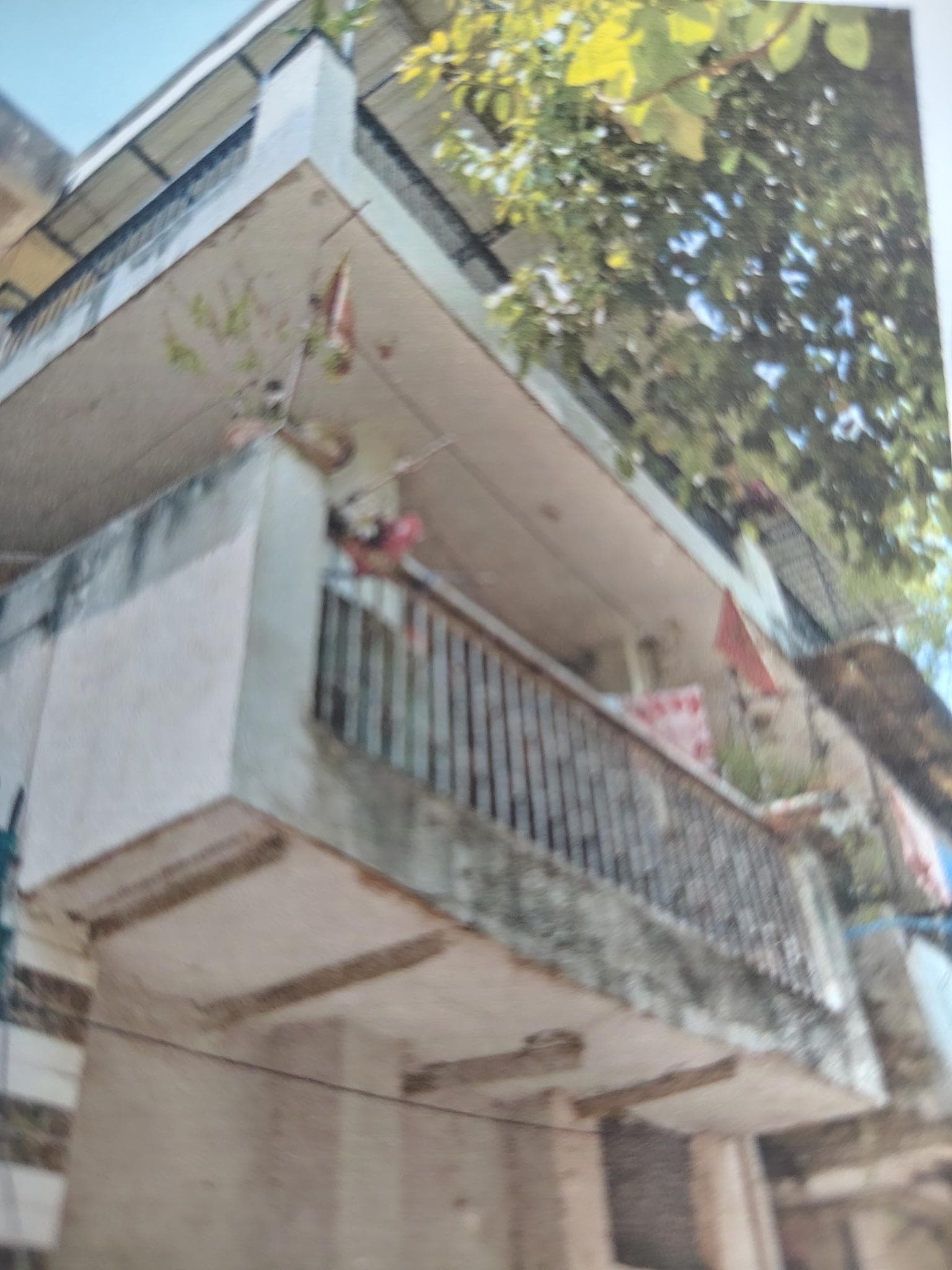 Property Photos 2