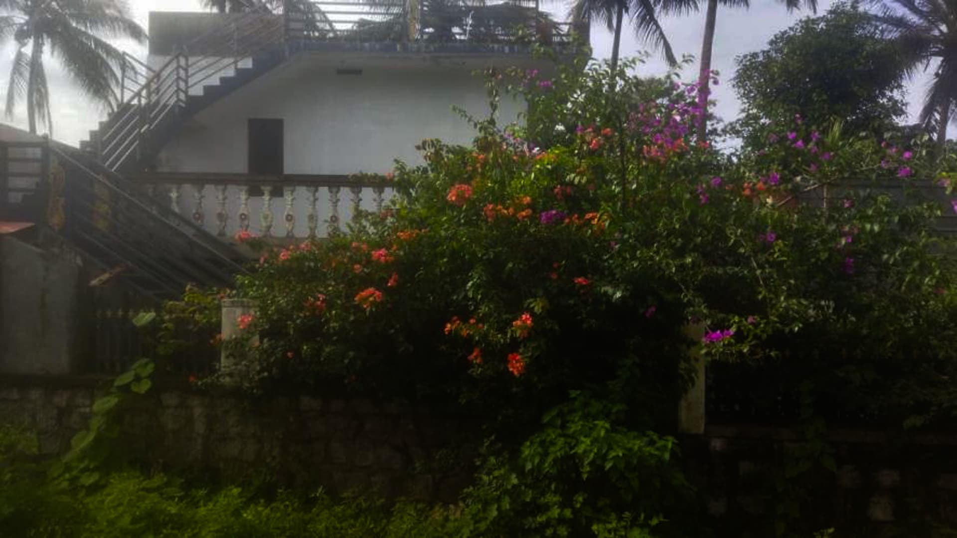 Property Photos 4