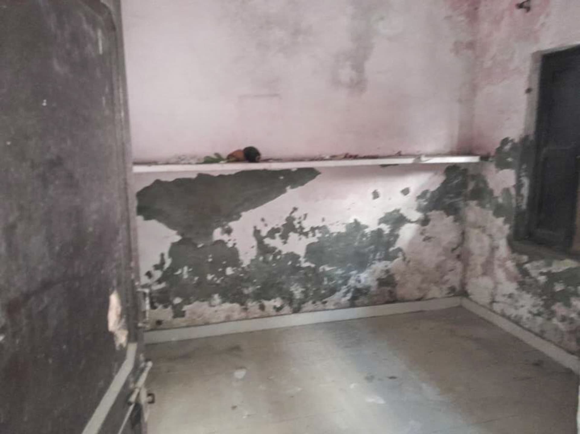 Property Photos 2