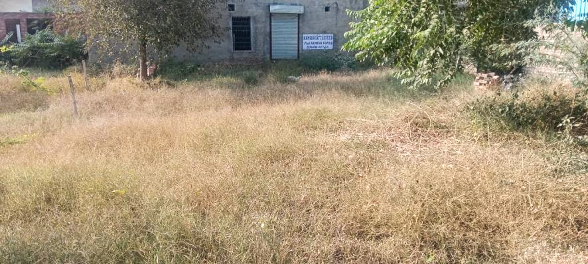 Property Photos 4