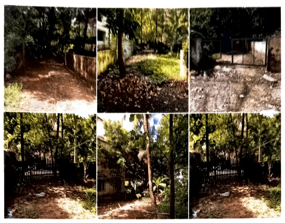 Property Photos 2