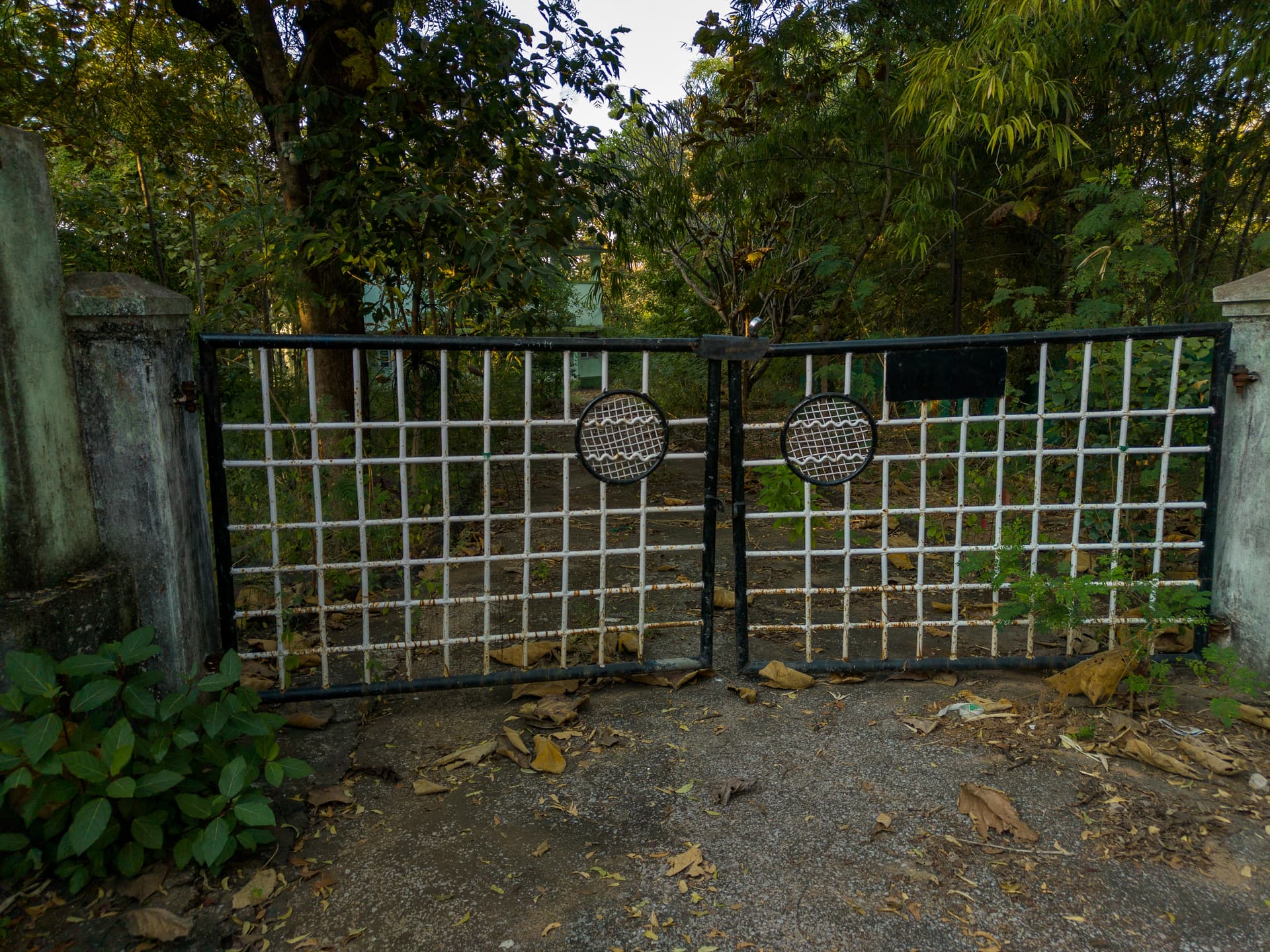 Property Photos 27