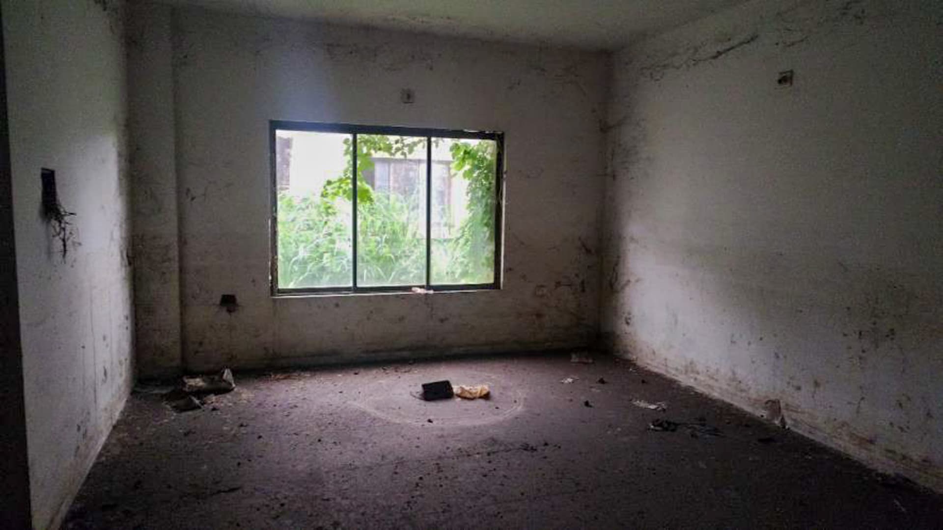 Property Photos 62