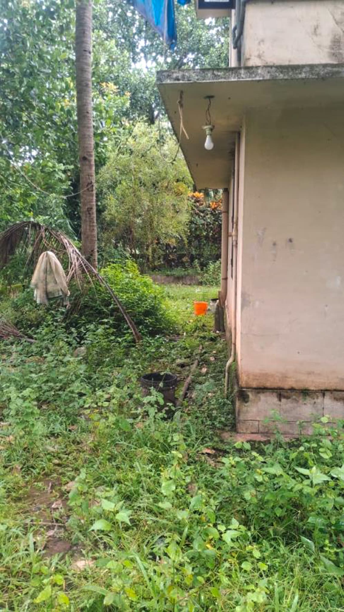 Property Photos 17