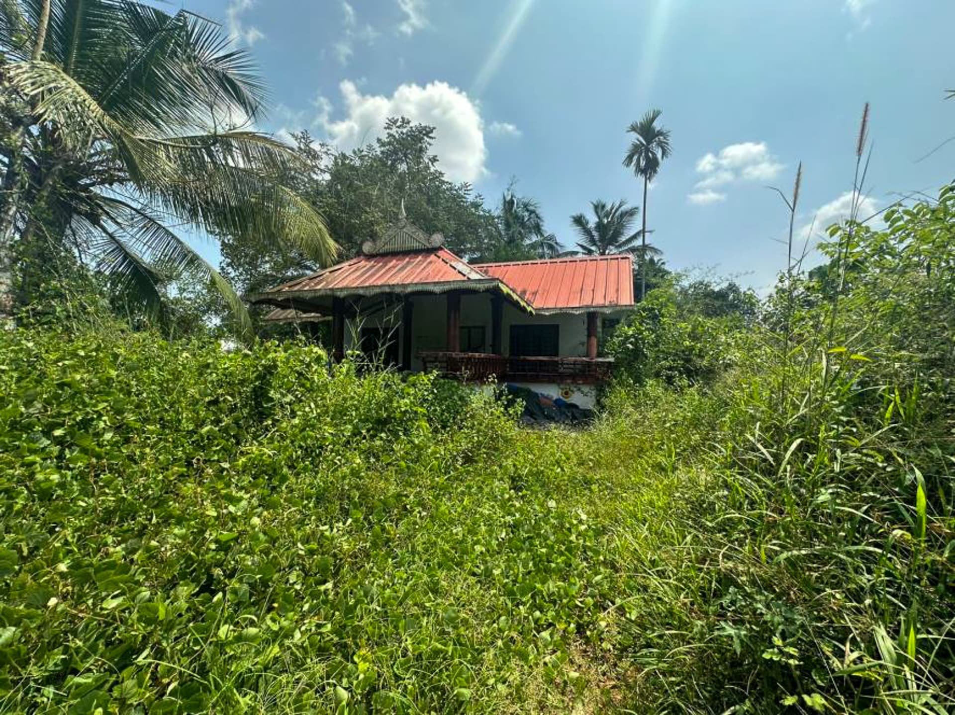 Property Photos 2
