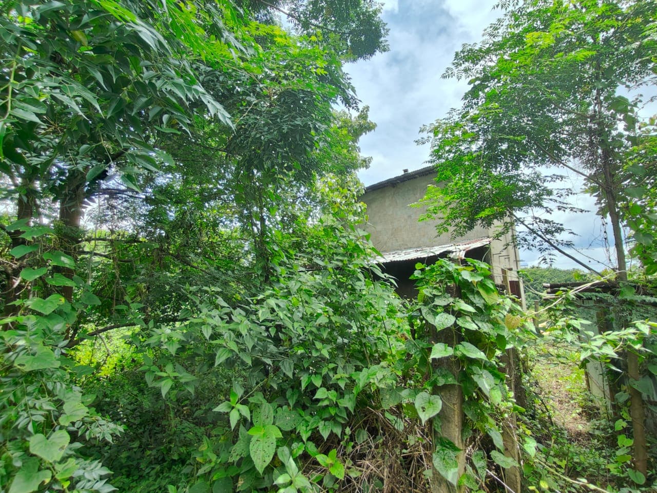 Property Photos 5