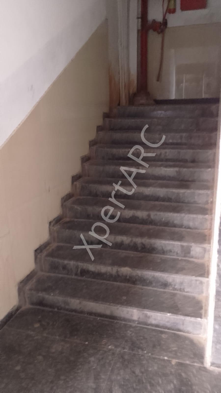 Property Photos 6