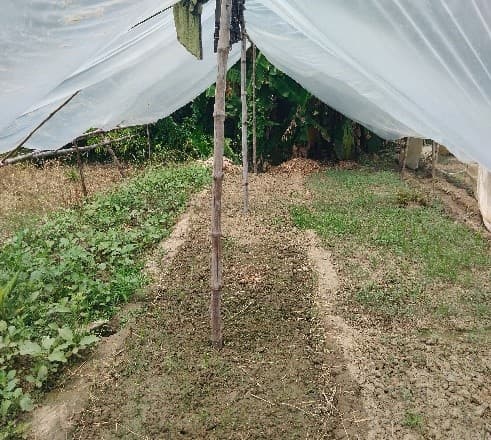 Property Photos 2