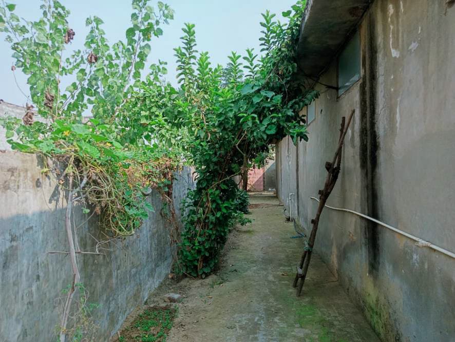 Property Photos 17