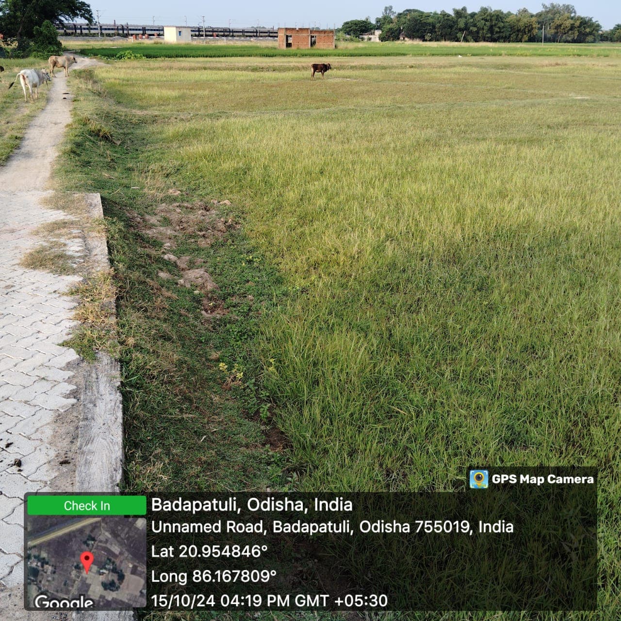 Property Photos 4