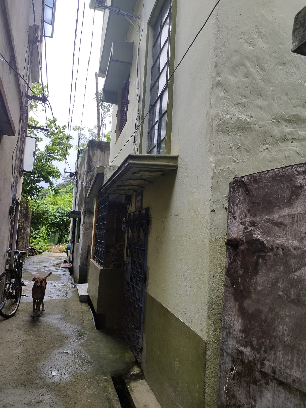 Property Photos 8