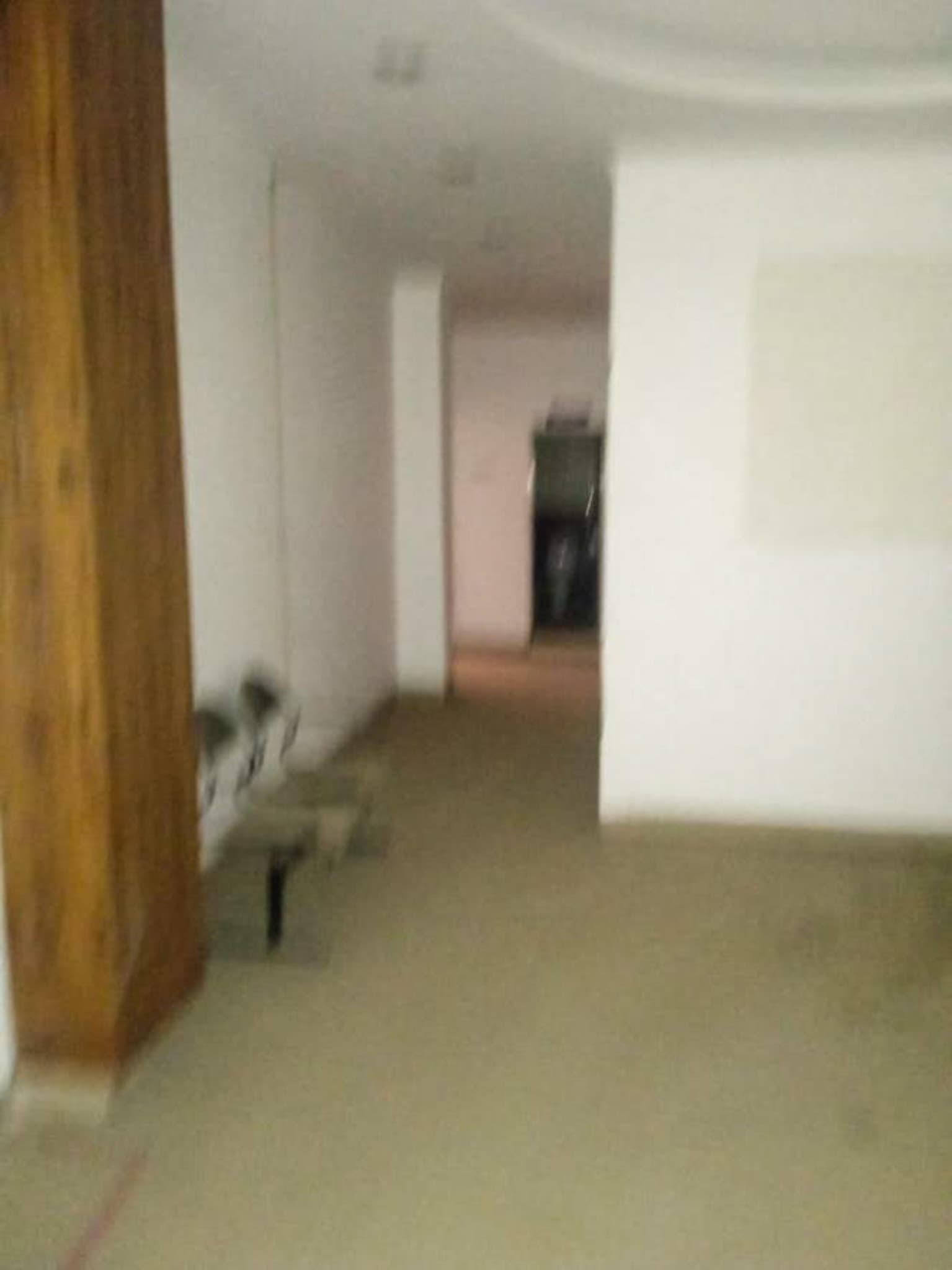 Property Photos 19