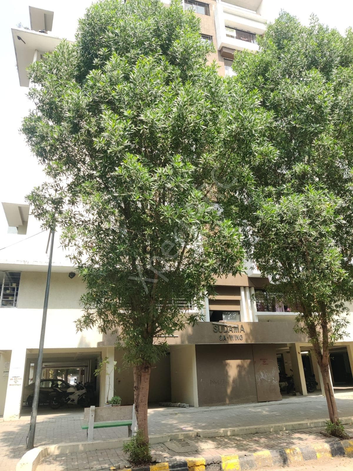 Property Photos 4