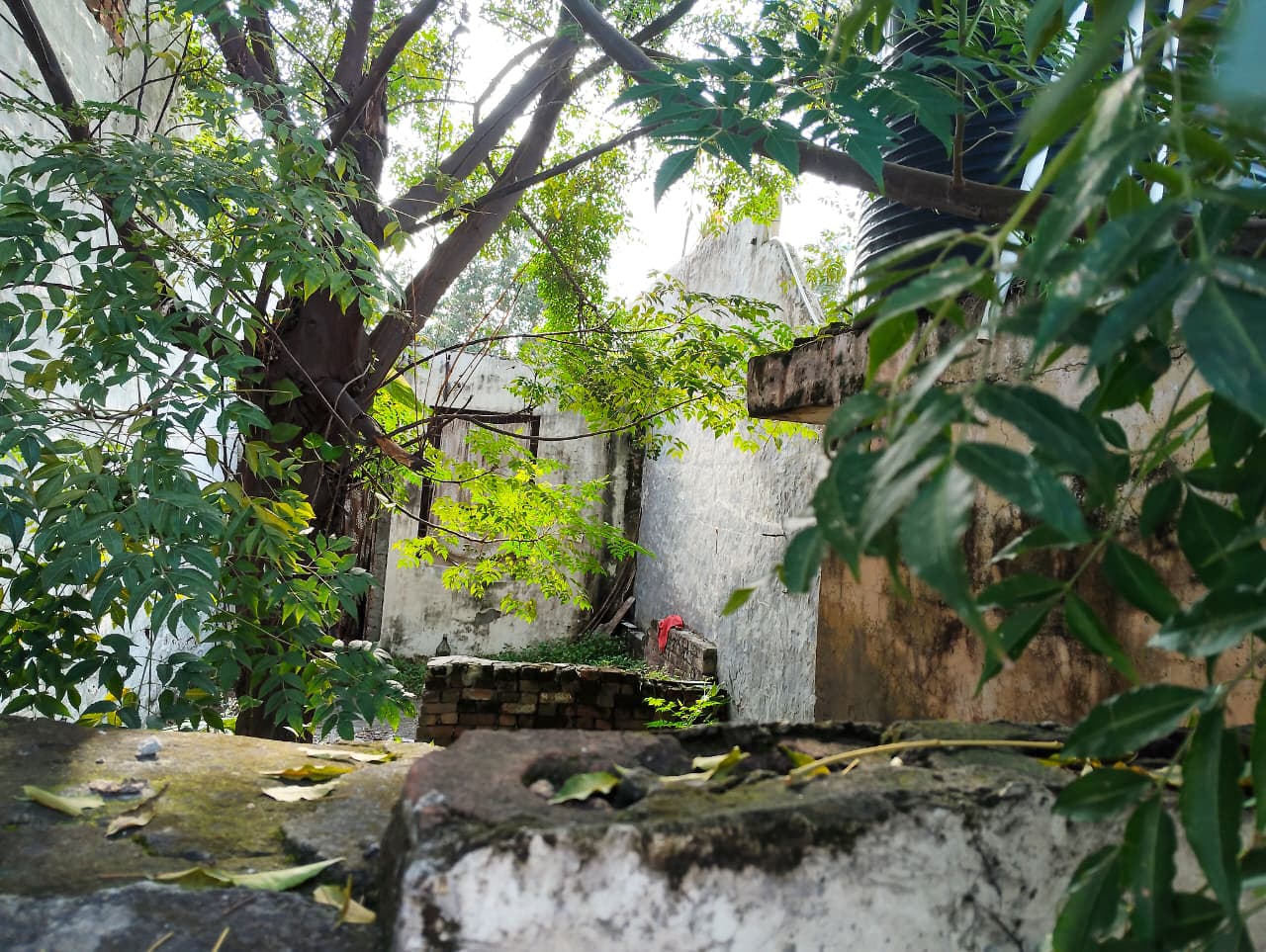 Property Photos 6