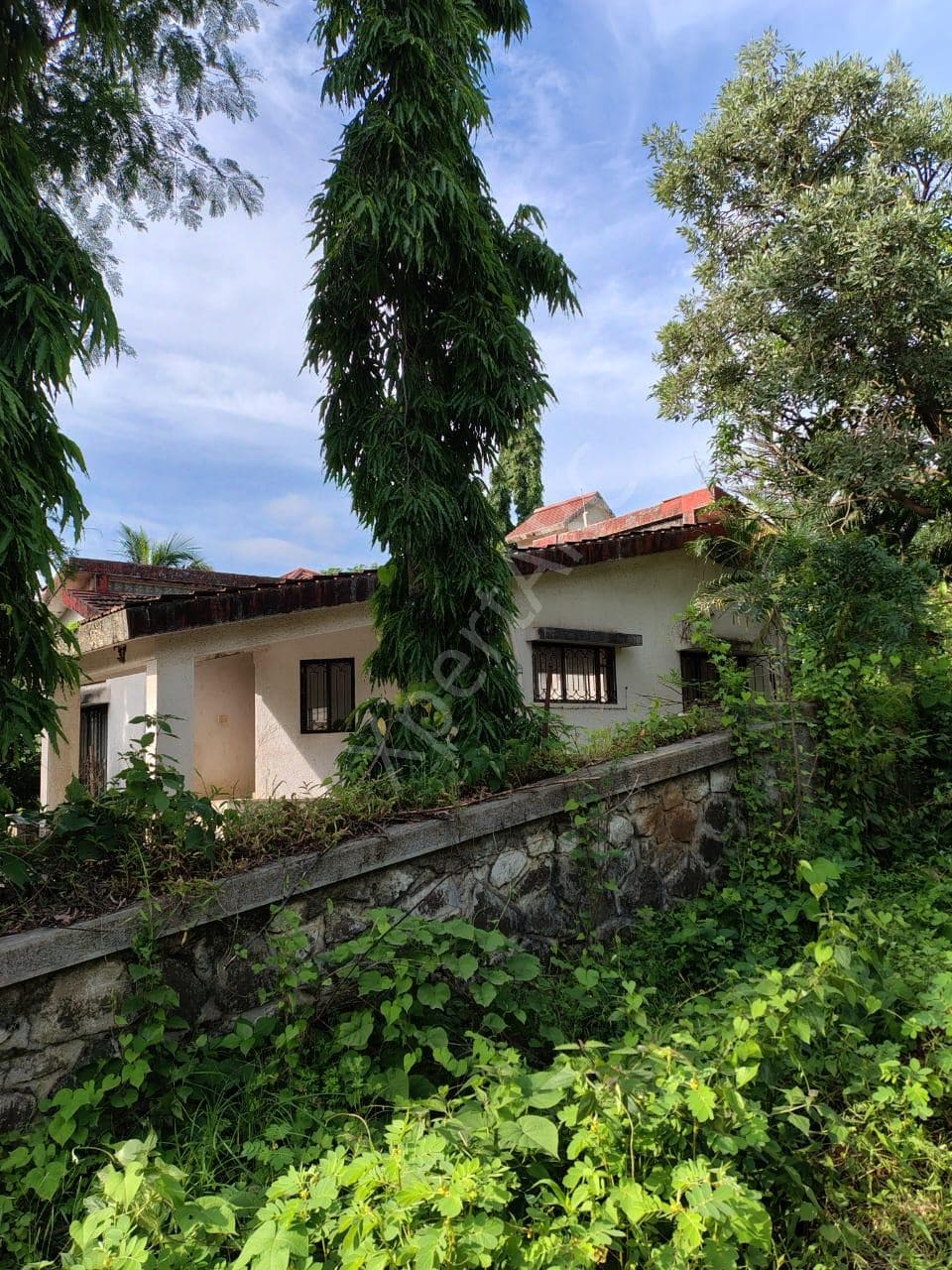 Property Photos 4