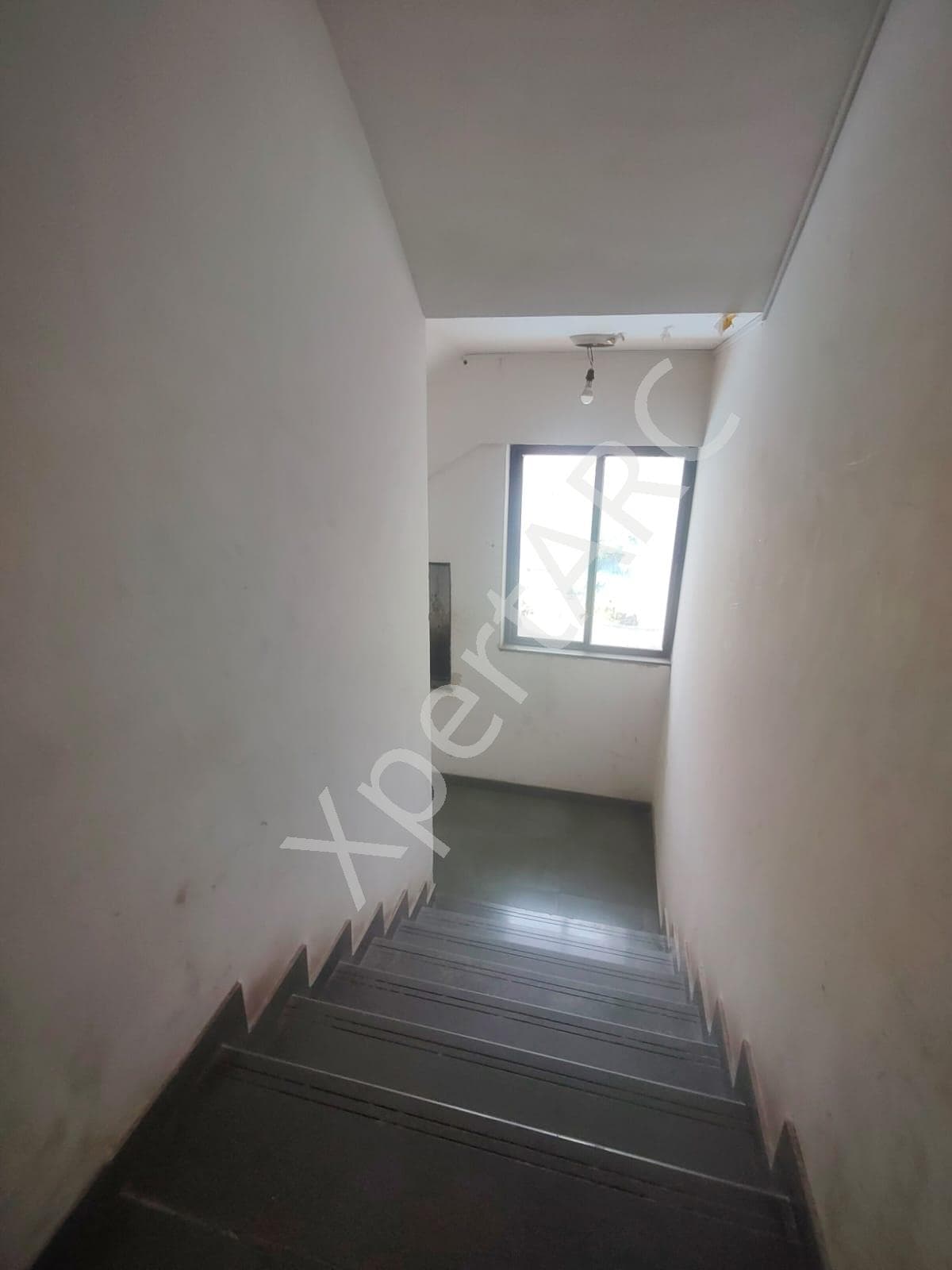 Property Photos 3