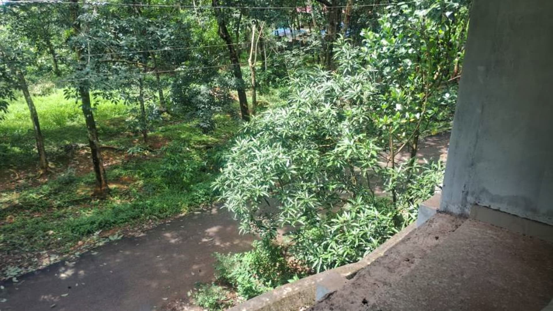 Property Photos 5