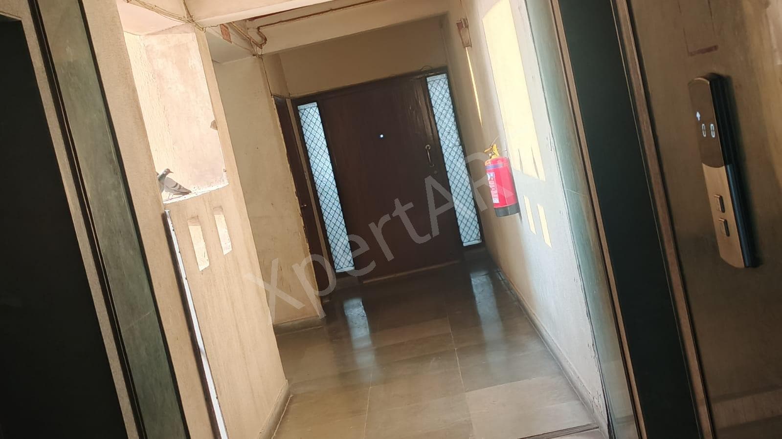 Property Photos 3
