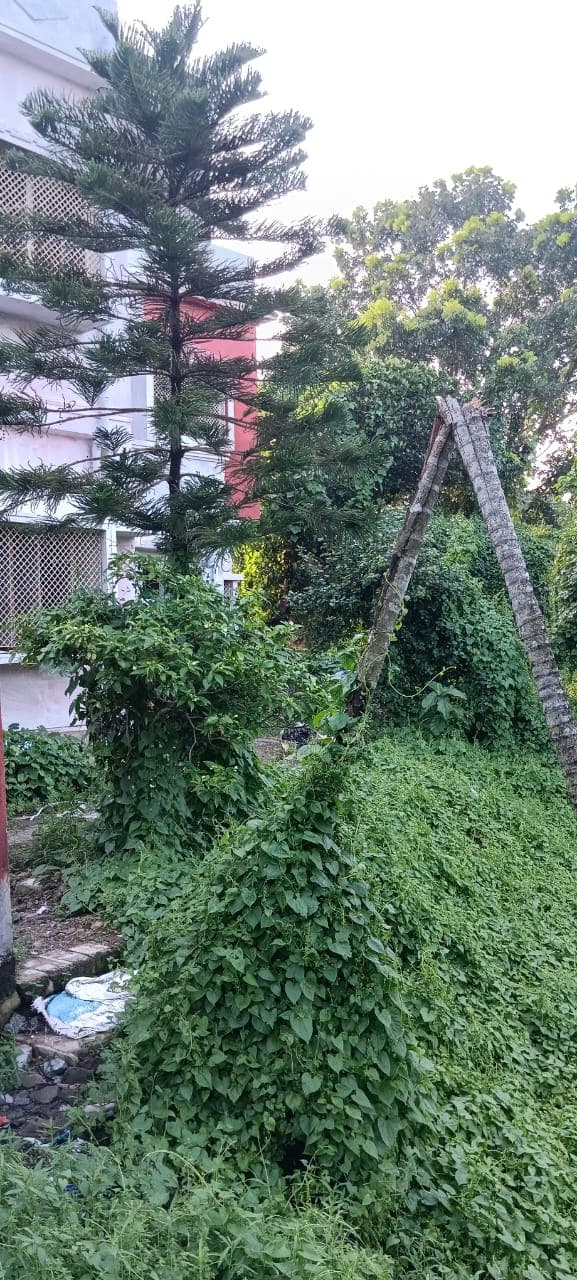 Property Photos 6