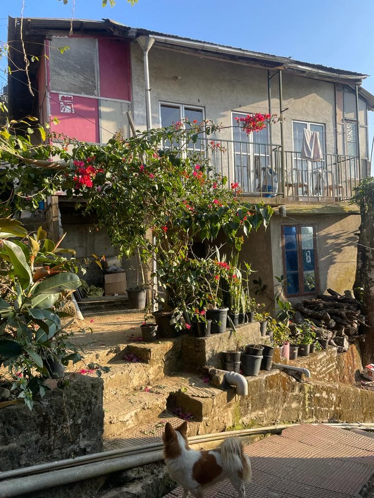 Property Photos 4