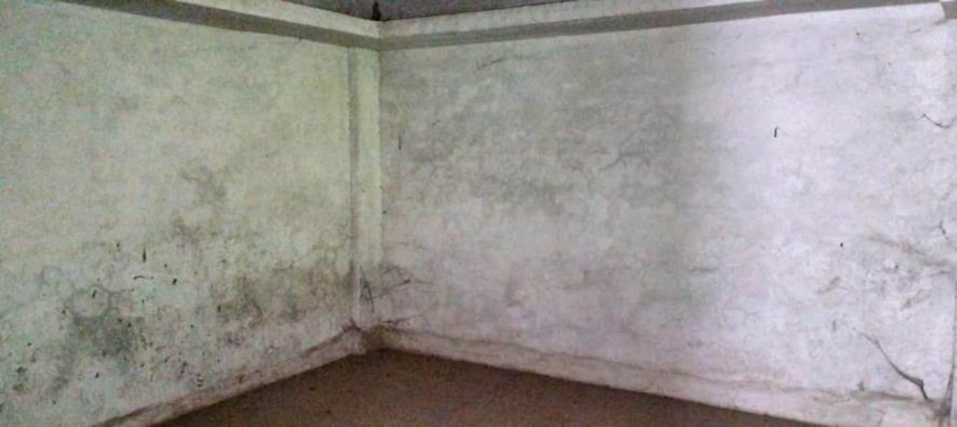 Property Photos 9