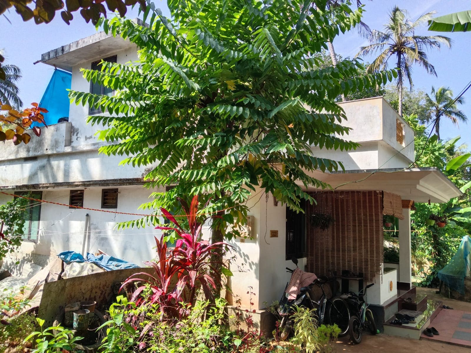 Property Photos 2