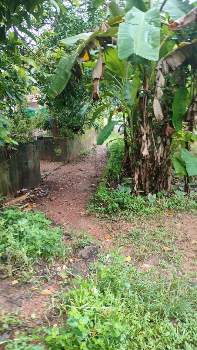Property Photos 2