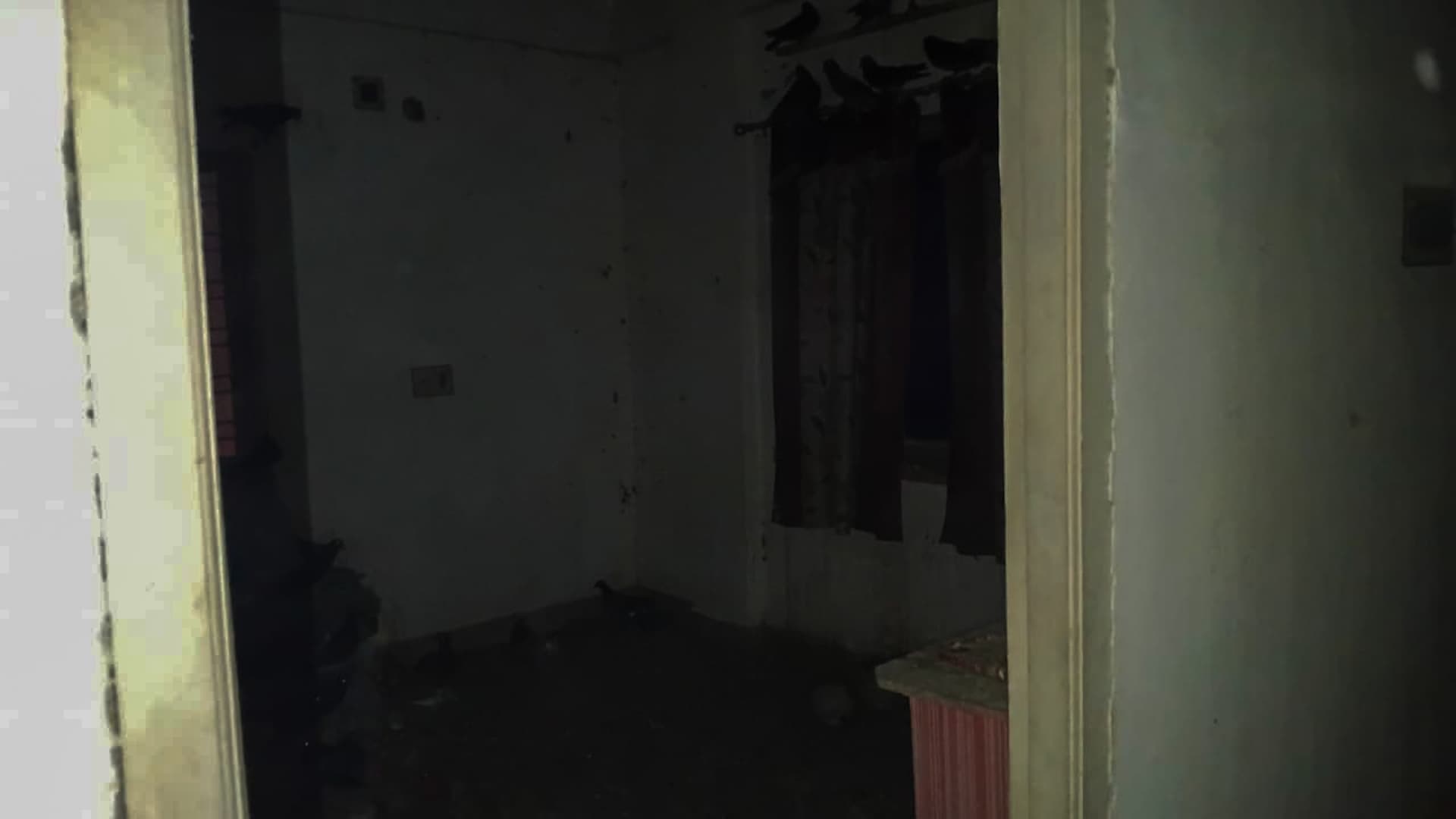 Property Photos 5