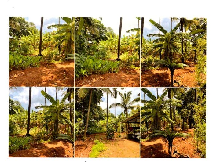 Property Photos 4