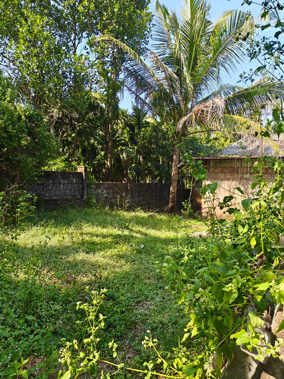 Property Photos 2