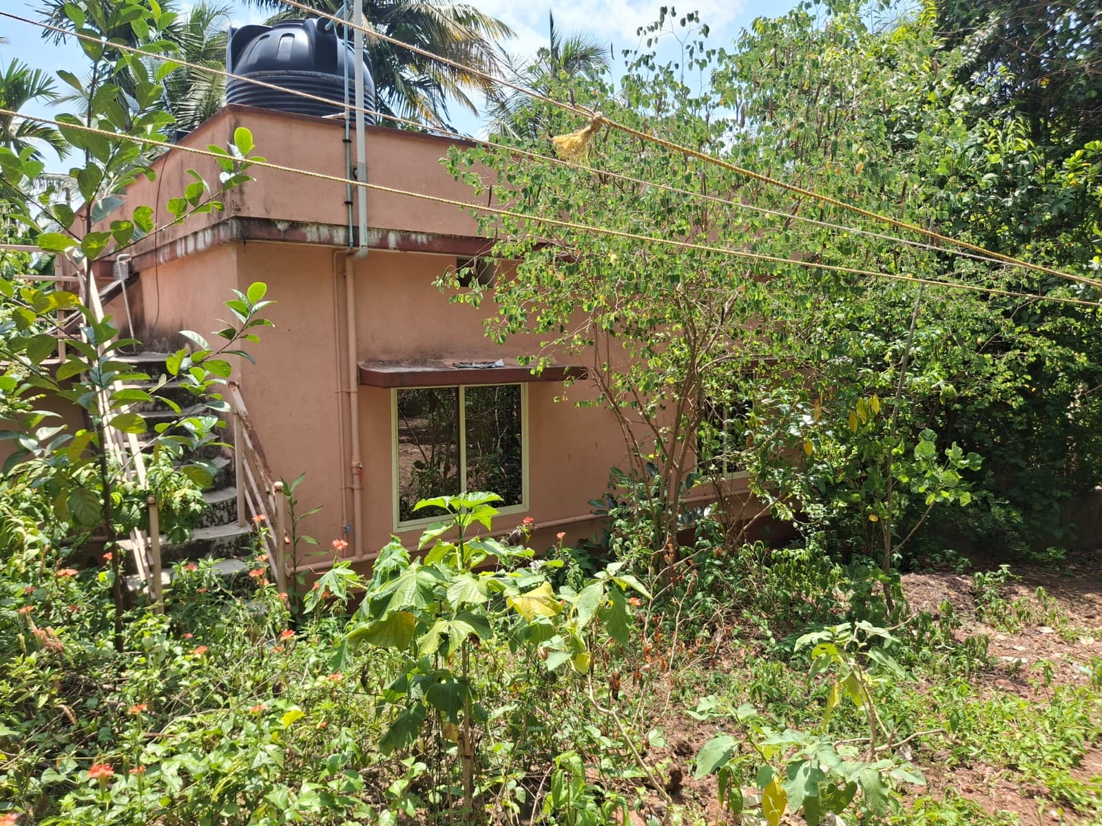 Property Photos 3