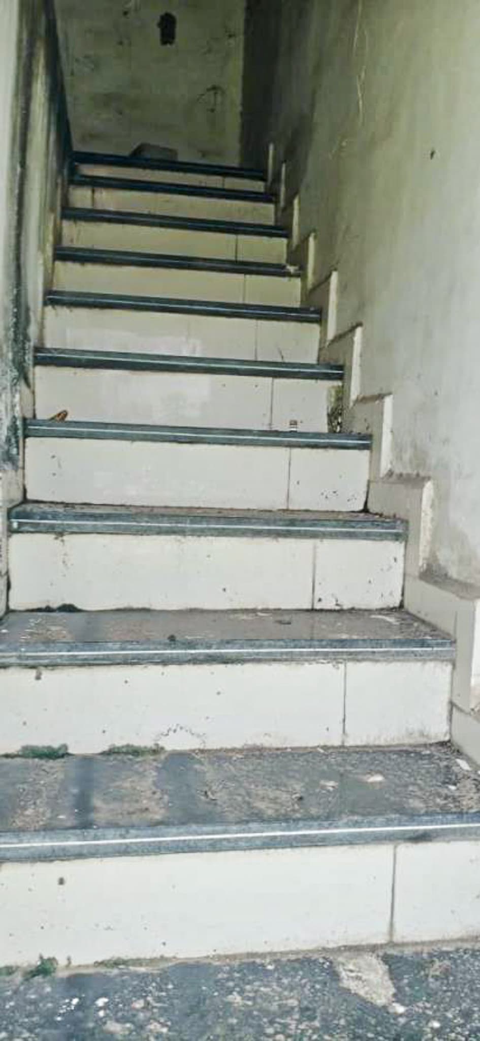 Property Photos 7