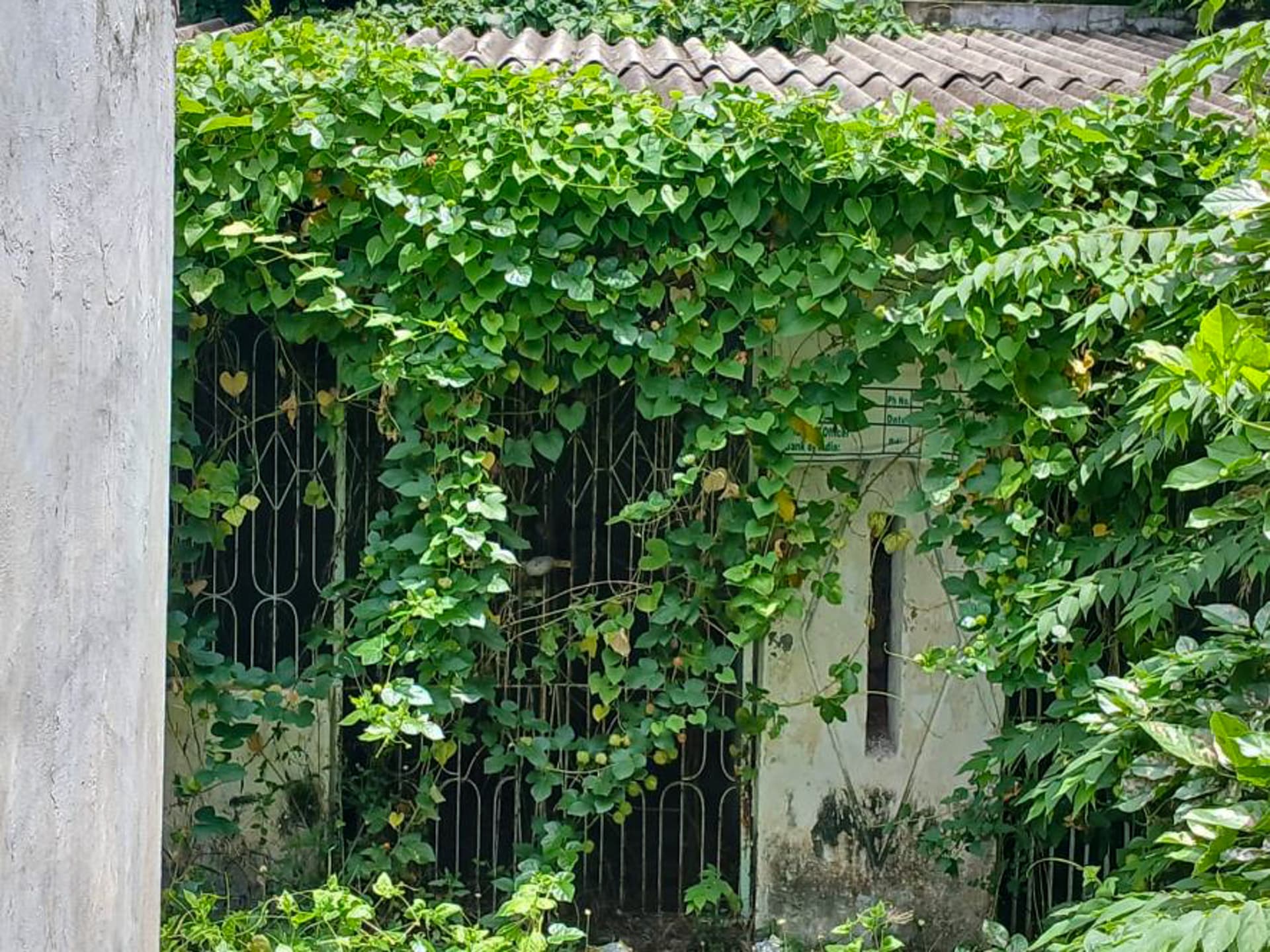 Property Photos 7