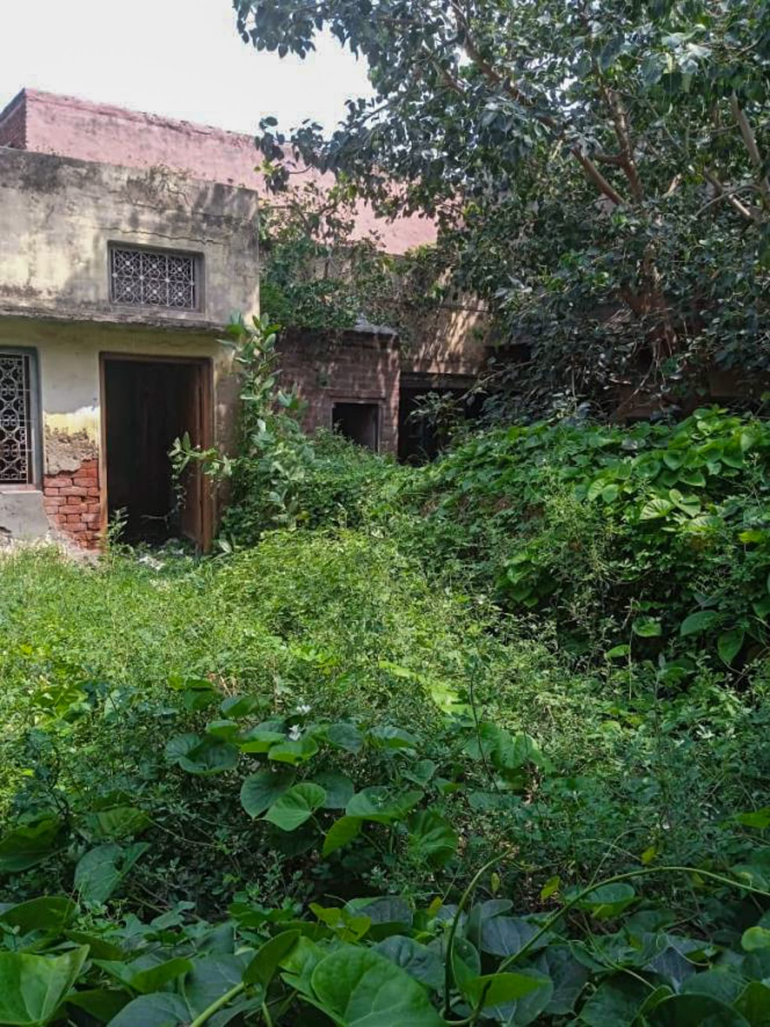 Property Photos 9